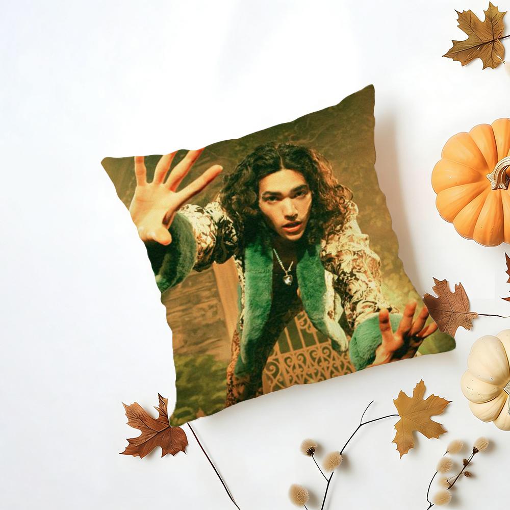 Conan Gray Holidays Cushion Cover Iceland Washable Linen Soft for Daily Sofa Bed Home Room Decor