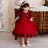 Newborn Baby Girls 1st Birthday Halloween Dress Elegant Princess Formal Wedding Costume  Kids Baptism Girls Dresses Party Clothes