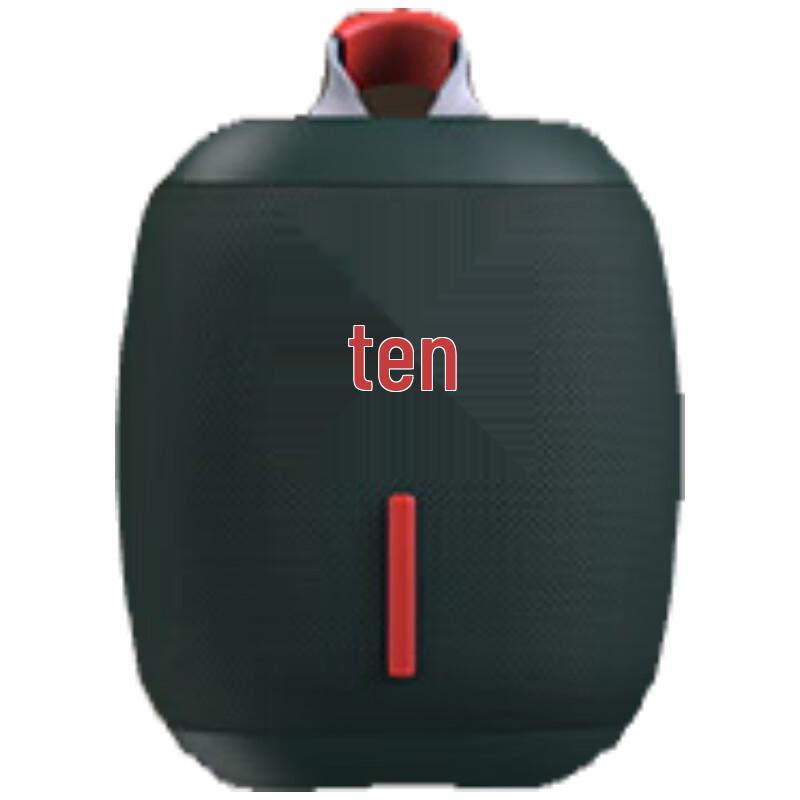 Newman BT86 Portable Bluetooth Speaker