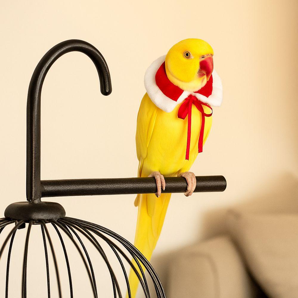 Cosplay Accessories Warm Hamster Cloak Windproof Comfortable Pet Hamster Outfits Adjustable Festive Parrot Outerwear Christmas