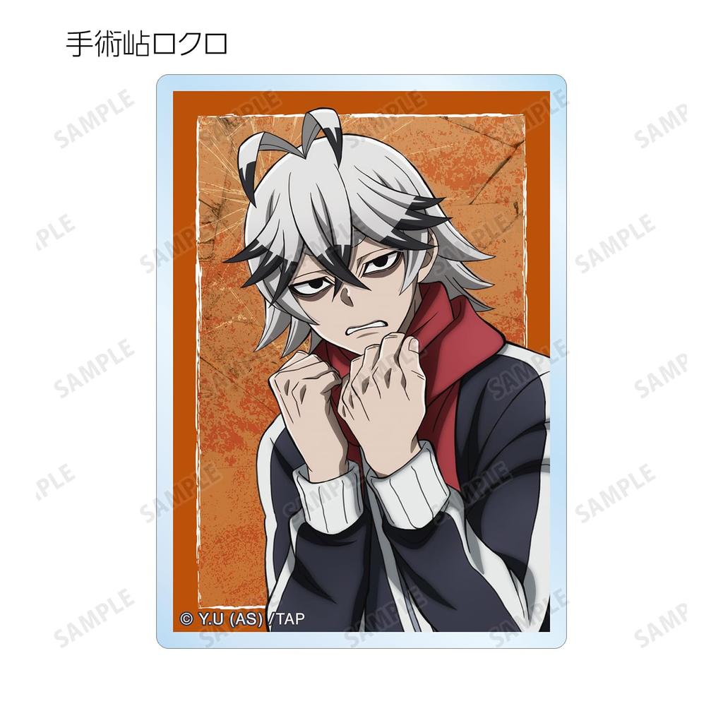 Togen Anki Торговые акриловые карточки Коробка из 11 штук