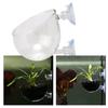 Glass Plant Cups with Suction Cups for Water Plants Aquarium Decoration Cup Pot for Aquarium Landscape