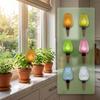 350ml Capacity Plant Watering Globes Slow Release Watering Balls Self Watering Bulbs  Garden Plants
