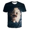 Summer Round Neck 3D Print Mysterious Cat Pattern Top Fashionable Casual Short Sleeved Men's T-shirts