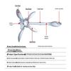 Heavy Duty Folding Boat Anchor