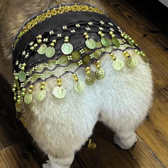Dog Belly Dance Costume Corgi Dog Waist Chain Butt Curtain Clothes with