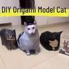 Oiiao Модель кота из бумаги ручной работы - Максвелл, Смущенный и Вращающийся дизайн кота