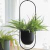 Уличный Современный Качающийся Настенный и Потолочный Домашний Декор Подвесное Кашпо Корзина для Растений Горшок для Растений Кашпо