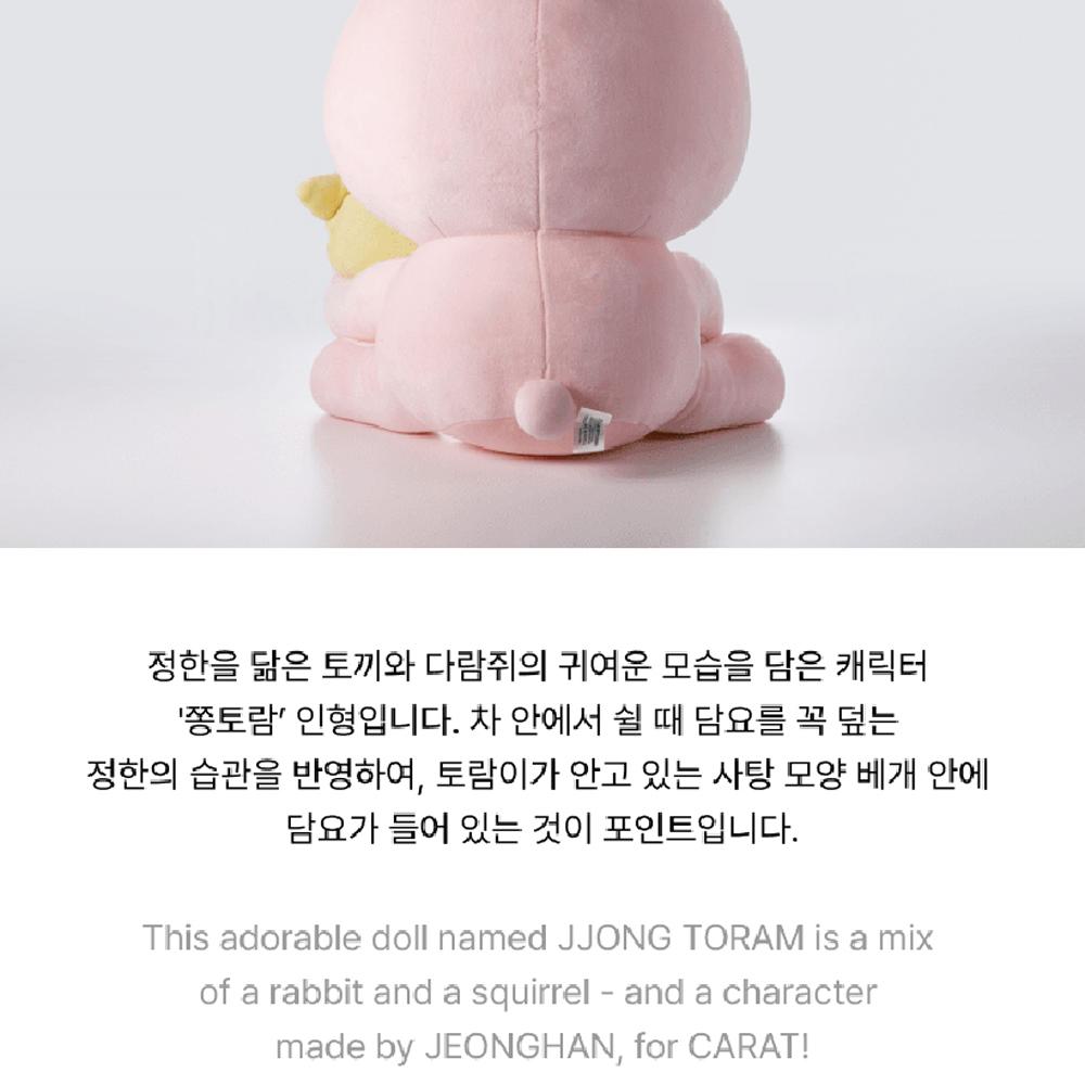 Seventeen SVT [JEONGHAN] Плюшевый торам и комплект одеяла