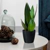 Black plastic pot with cover, 13.5 cm, Magnolia