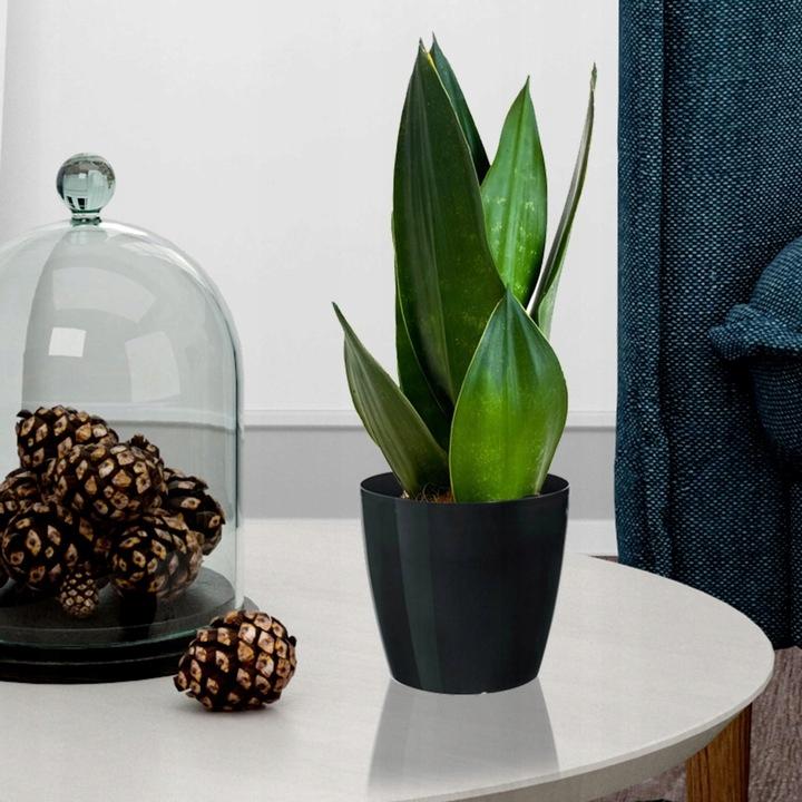 Black plastic pot with cover, 13.5 cm, Magnolia