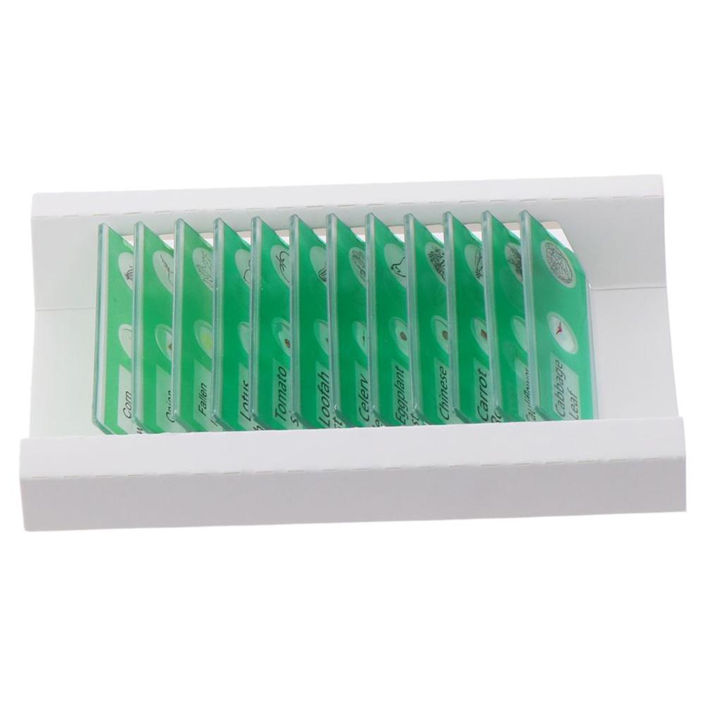 Животные Насекомые Растения Цветы Микроскоп Слайды Студенты Дети