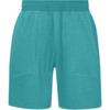 Lululemon Casual Shorts Men's Moderate LM7AI9S