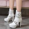 Sexy High Heel Ankle Boots 2025 Autumn Winter Thick with Short Boots 12 Cm Super High Heels Women's Boots Customized Botte Femme