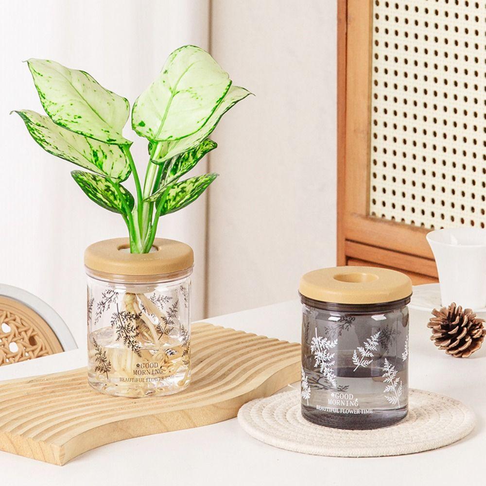 Transparent Hydroponic Flower Pot Wooden Style Lid Plastic Flower Pot New Plant Vase Nordic Style