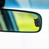 Автомобильная наклейка Водонепроницаемая ПВХ Самоклеящаяся Без следа Автодекаль Черный Кот