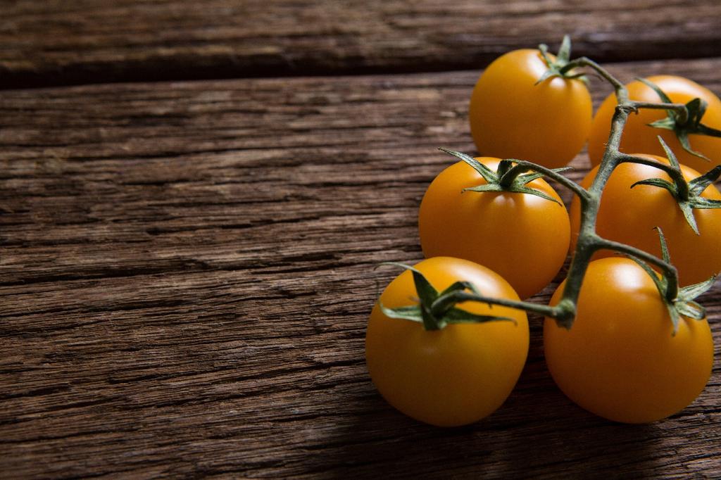 SAFLAX Garden in the Bag - Органический - Помидор - Golden Queen - 15 семян - С субстратом в подходящем стоячем пакете - Solanum lycopersicum