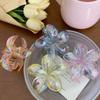 Plastic Transparent Hair Clip Hairpin Large Hair Claw Creative Flower Hair Clip  Girls
