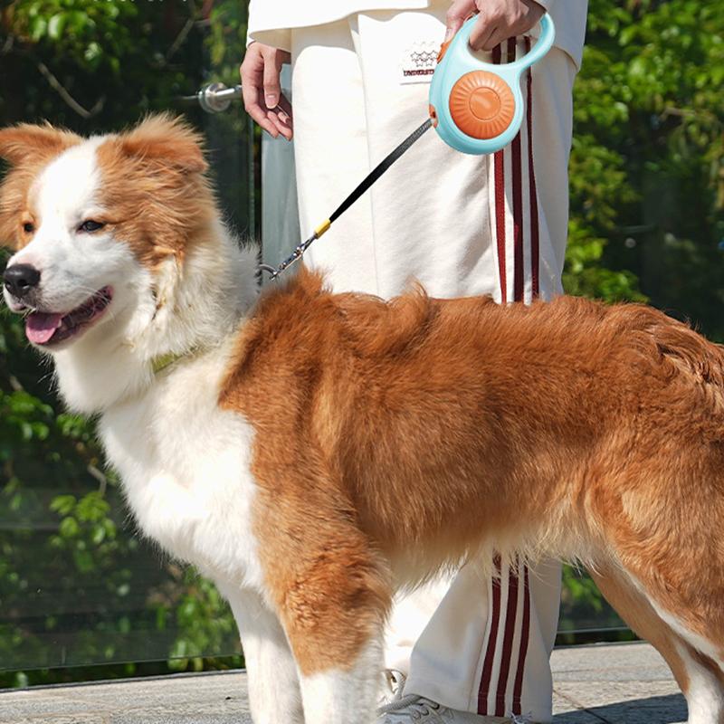 Automatic Retractable Pet Leash 3M Reflective Durable Dog Cat Lead with Comfy Handle for Small Medium Pets Outdoor Safety