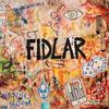 CD FIDLAR - Too WEBB455CD Wichita 2015 Europe Rock Used