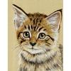 DIY 5D Diamond Painting Animal Full Round Cat Diamond Embroidery Art Rhinestone Picture Mosaic Decoration Gift Home Decor