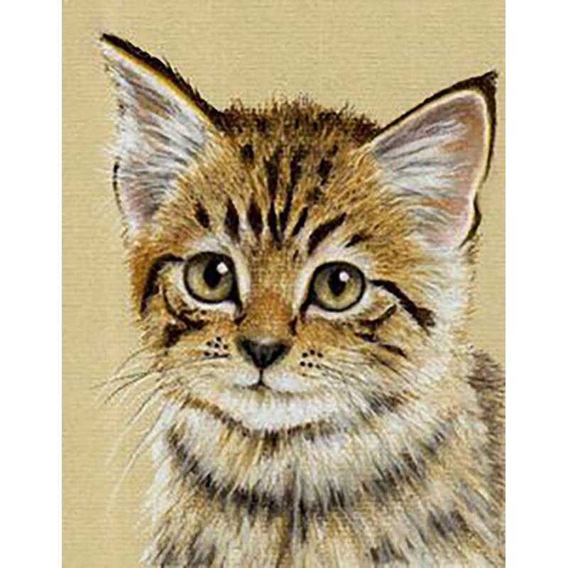 DIY 5D Diamond Painting Animal Full Round Cat Diamond Embroidery Art Rhinestone Picture Mosaic Decoration Gift Home Decor