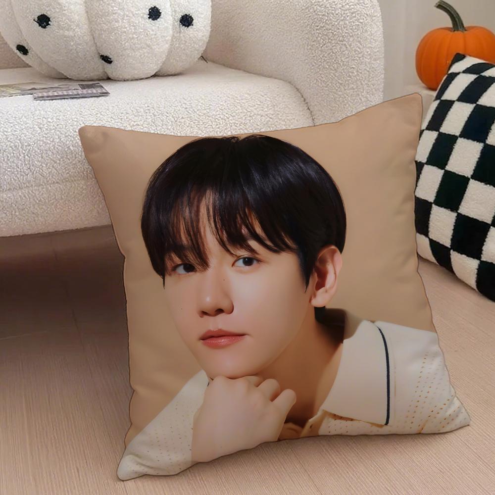 Classic Korean Handsome Singer BByun Baekhyun Cushion Cover Throw Pillow Cover Hidden Button Durable Polyester Chair Cushion