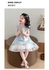 Girls' mesh dress 2026 summer new children's dress, thin Korean version princess dress for baby girls, summer outfit
