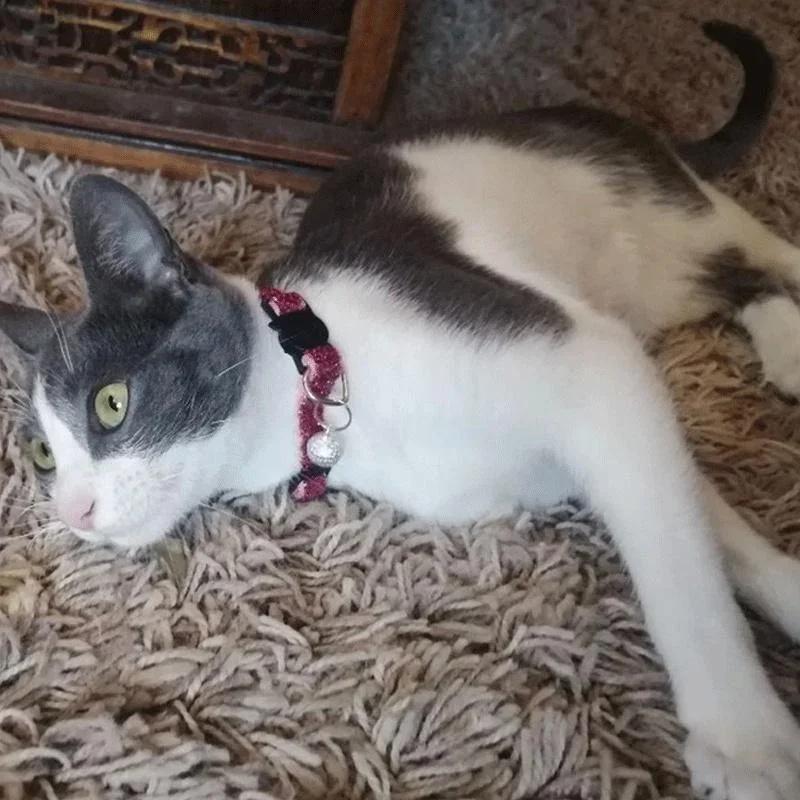 Кошачий ошейник Ошейник для домашней кошки с колокольчиком Ошейник с кошачьей мордочкой Безопасная застежка Кошачий ошейник Блестящий бархатный ошейник
