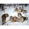 5D Diy Алмазная картина "Животное тигр" Алмазные картинки Вышивка крестиком 3D Декор для вышивки стразами