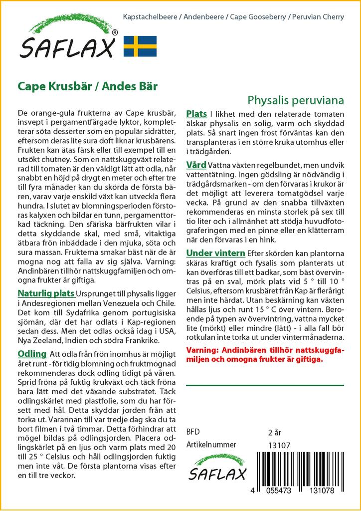 SAFLAX Капский крыжовник / Перуанская вишня - 100 семян - Physalis peruviana