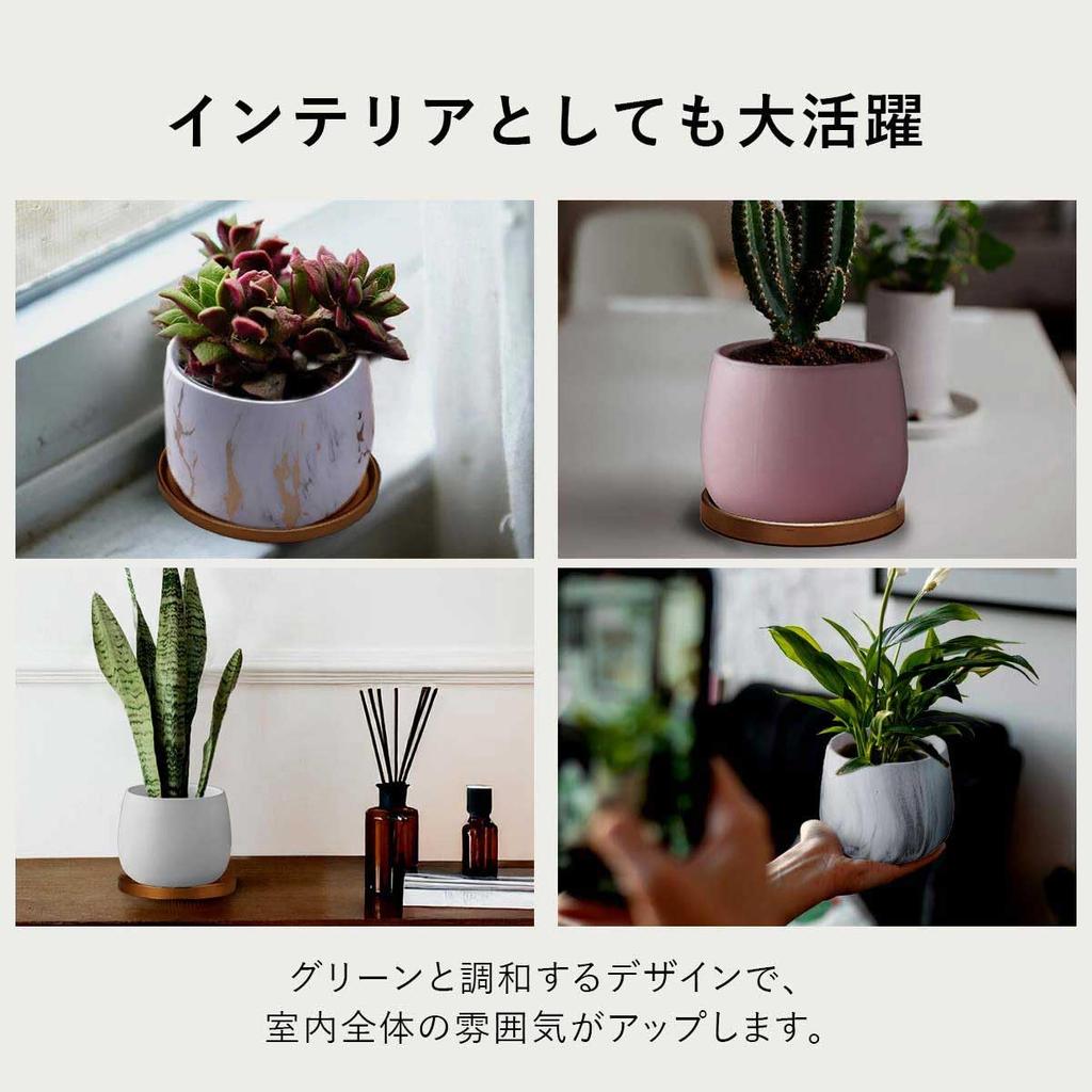 Iikuru Stylish Ceramic Planter Set for Houseplants and Succulents