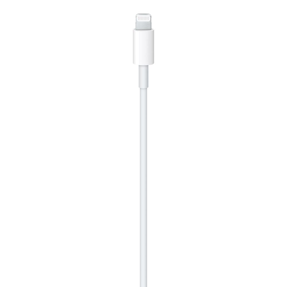 Apple USB-C To Lightning Cable (1 M)