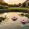 Solar Pond Fountain Lotus Floating Bird Bath Powered Garden with Interchangeable Nozzles for Patio Yard Decor