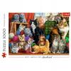 10555 "1000 - Cat Meeting