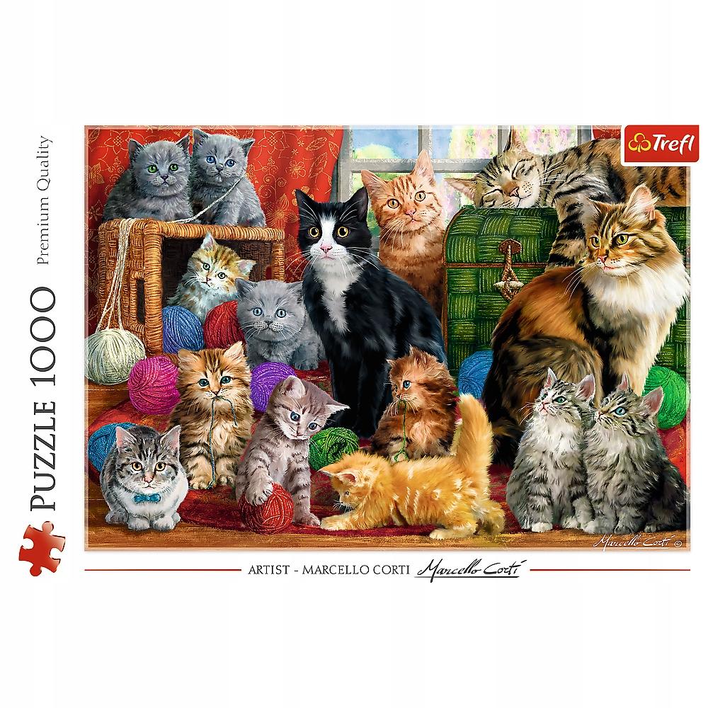 10555 "1000 - Cat Meeting
