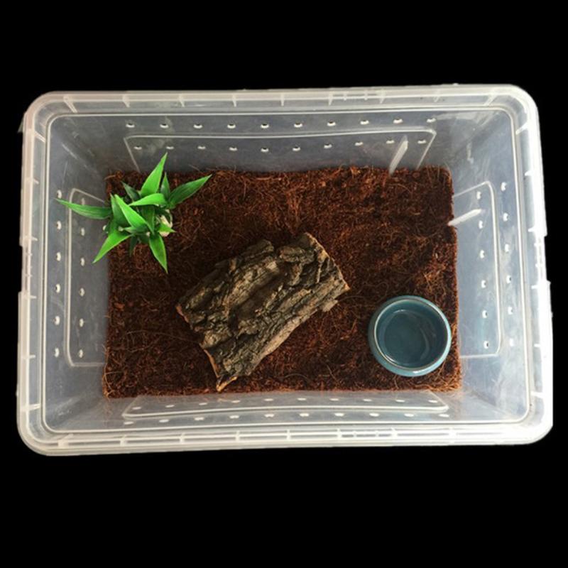 Reptile Box Mantis Jumping Spider Silkworm Rearing Box Reptile Rearing Box