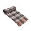 1PCS Autumn Winter Fashionable and Trend Plaid Scarf Luxury Women Color Matching Tassel Bib Scarves Imitation Cashmere Shawl
