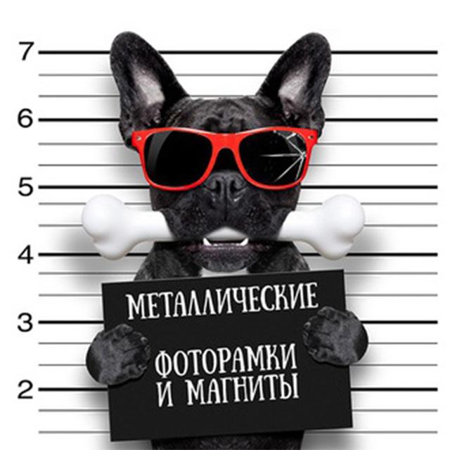 5d алмазная живопись кошка DIY мозаика цветок полная круглая/квадратная Алмазная вышивка животное ремесленный декор для дома