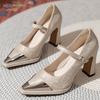 Fashion Autumn New Single Shoes Women Fashion Pointed Shallow Mouth Metal Head Line with Temperament Chunky Heels