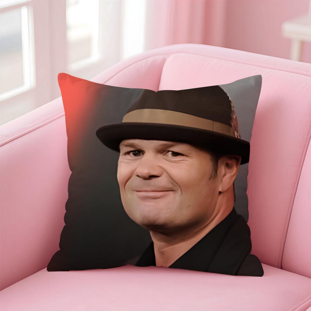 CChris Bauer Cushion Cover Pillow Case Soft Friendly Fabric Concealed Zipper