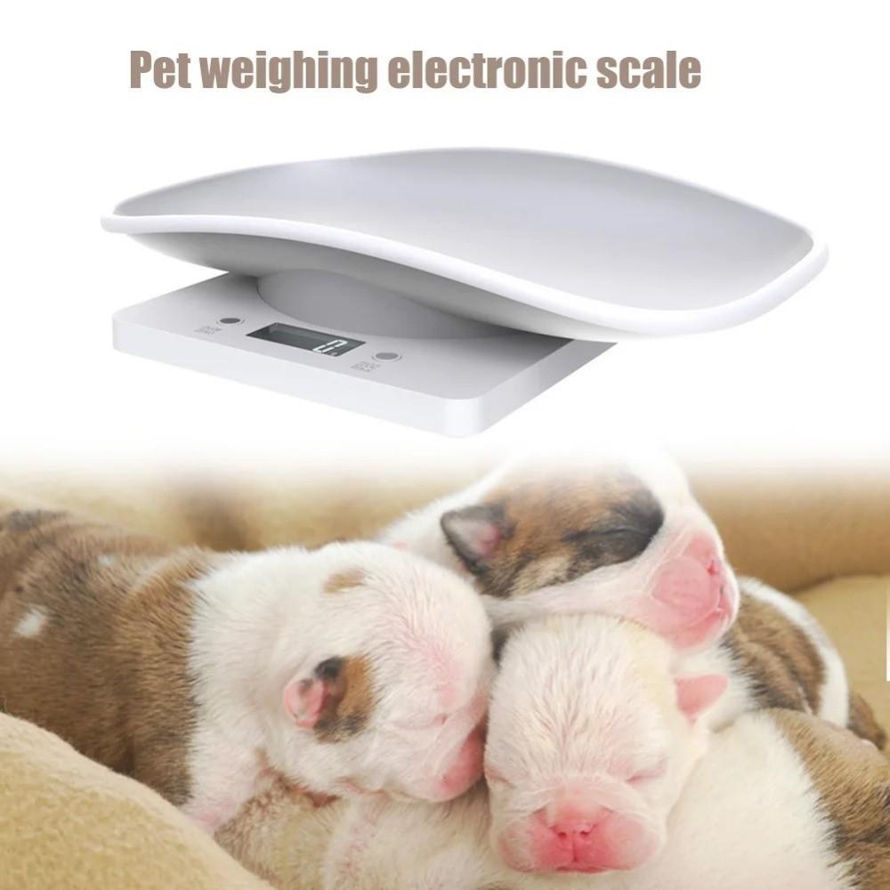 Grams Weight Digital Pet Scale Precision Pet Electronic Scale Small Animal Scale  Veterinary Use