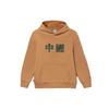 Мужские толстовки с капюшоном Li Ning Sports Trend Series с вышивкой, дымчато-коричневые AWDRF23-4