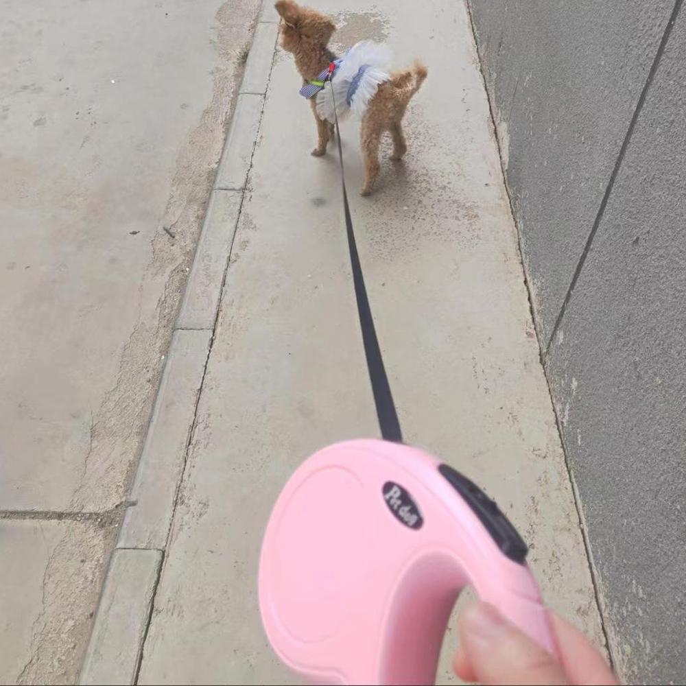 3 м/5 м автоматический выдвижной поводок для собак прочная нейлоновая веревка портативная тяга на открытом воздухе для домашних животных кошка собака выгул рулетка поводок товары для домашних животных