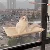 Гамак для кошек, милые подвесные кровати, удобное солнечное сиденье, крепление к окну, товар для животных, мягкая полка для домашних животных, принадлежности, съемный подшипник, 20 кг