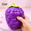 Giant Fruit Sensory Toy Large Pineapple Stress Ball, Slow Rising Squeeze for Anxiety Relief, Strawberry Malleable Ball Banana Grape Corn Carrot