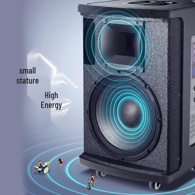 TEMEISHENG JT10-66 Outdoor Portable Performance Speaker with Dual Microphones CN plug (adapter included) (CN version)