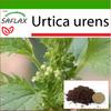 Крапива собачья - 150 семян - С горшечным субстратом для лучшего выращивания - Urtica urens