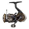 Daiwa 21 Кальдия LT2500S