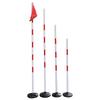 Agility Training Poles & Bases